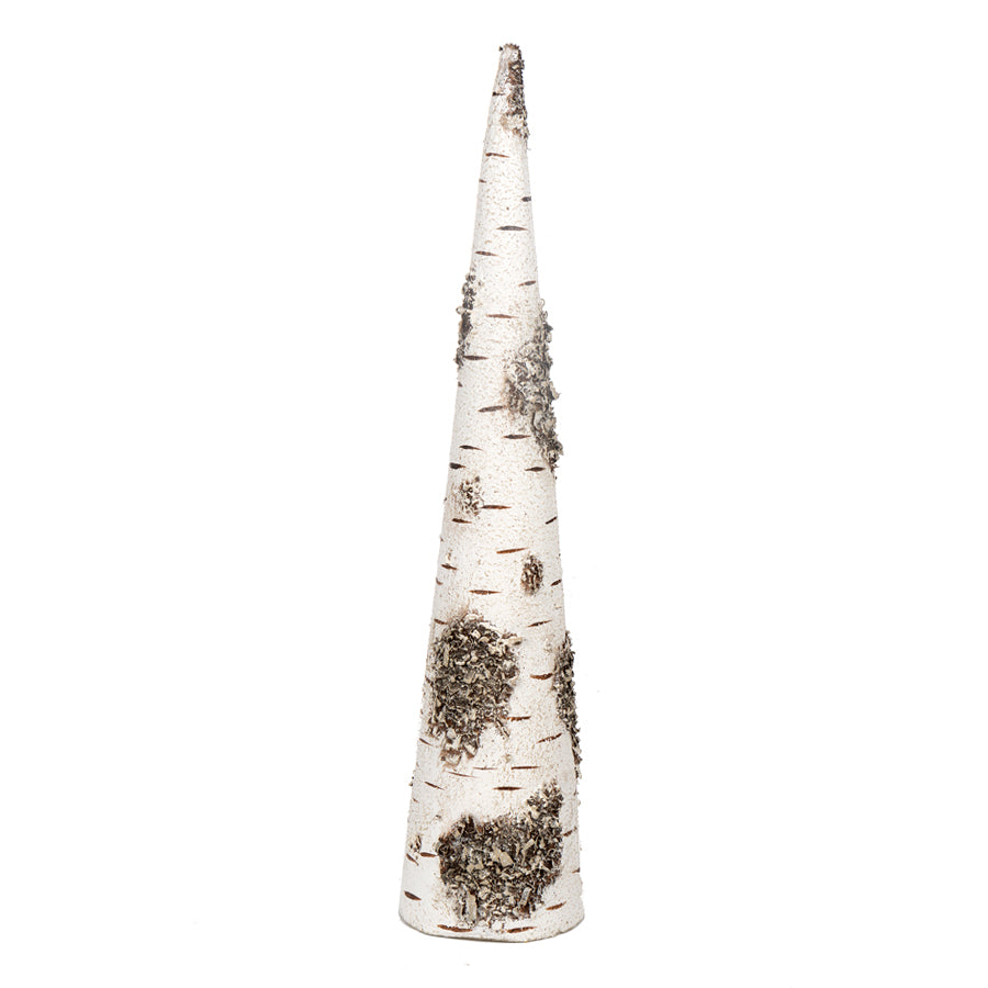 Birch Tree