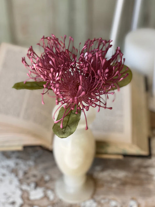 Pincushion Proteas | 12" | Fuji Pink