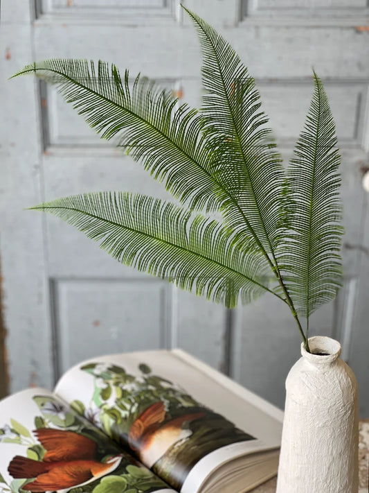 Quill Fern Spray | 37"