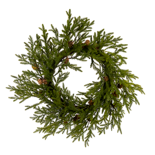 24" COLORADO SPRUCE WR