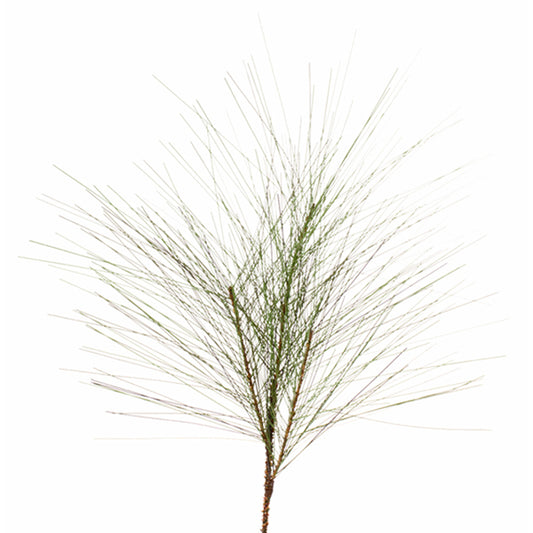 23" LG Pine Needle